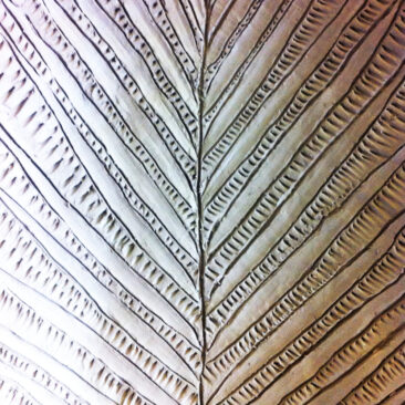 surface pattern design on ceramics in brown with fine lines like leafs